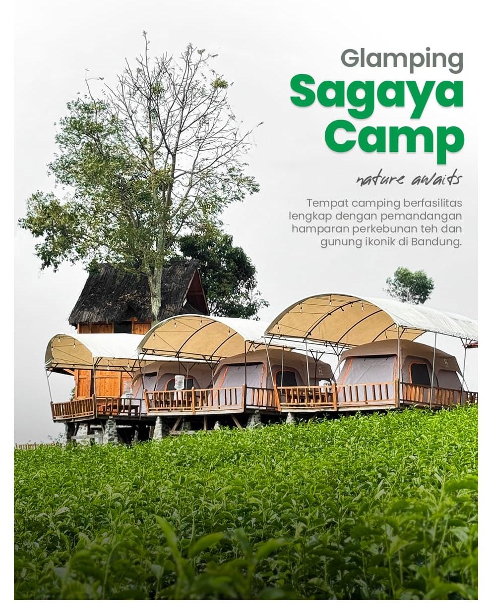 Sagaya Camp